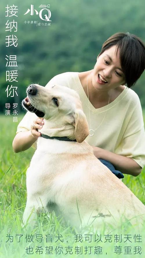 杭州摇号存款证明冻结